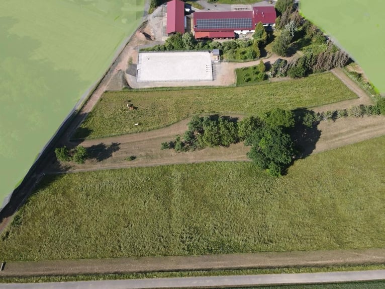Maison résidentielle (3 unités) avec manège/boxes, paddock, sentier, carrière d’équitation, atelier,