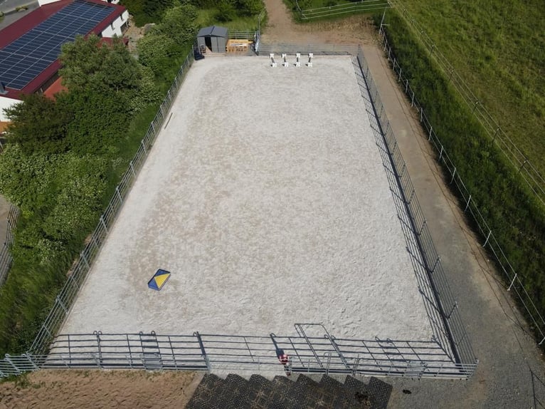 Maison résidentielle (3 unités) avec manège/boxes, paddock, sentier, carrière d’équitation, atelier,