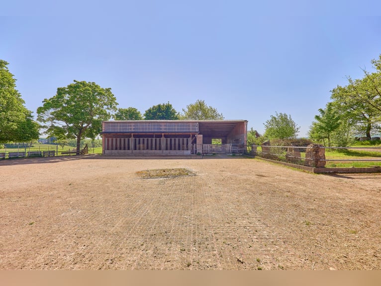 Moderne Reitanlage zu verkaufen in Hütschenhausen – stilvolles & energieeffizientes Wohnen inklusive