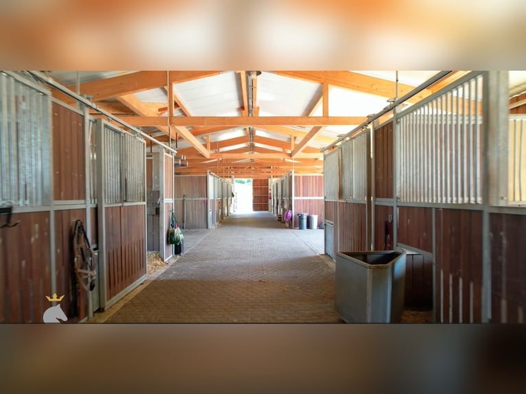 Moderne und rentable Reitanlage im Einzugsgebiet Bonn/Köln mit hochwertigem Wohnhaus