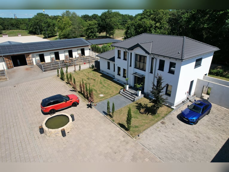 Moderne und rentable Reitanlage im Einzugsgebiet Bonn/Köln mit hochwertigem Wohnhaus