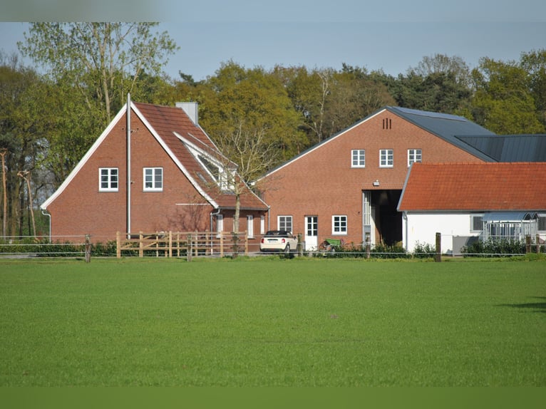 Nähe Vechta !  Reitanlage in traumhafter Alleinlage mit ca. 7 Hektar   **Provisionsfrei**