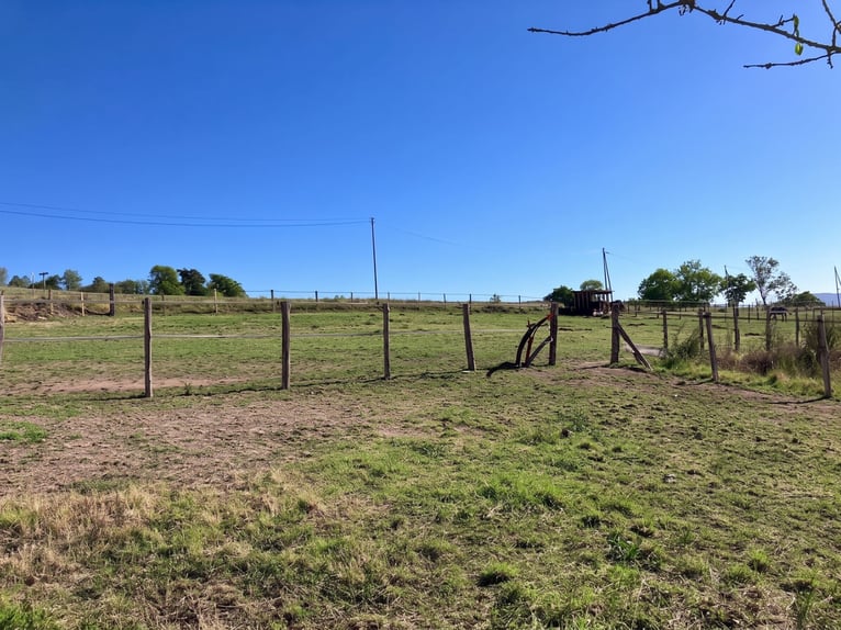 Opportunité de rénovation : fort potentiel et travaux à finir