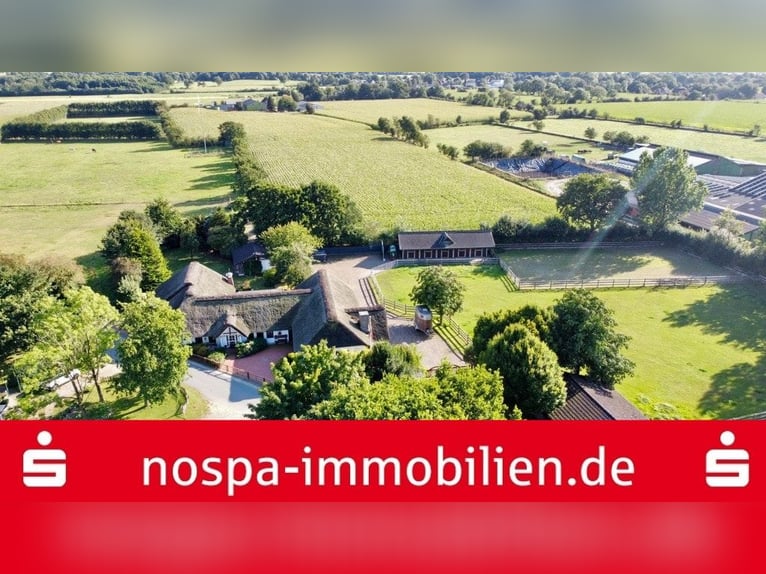 Paradies für Pferdeliebhaber: Reetdachanwesen auf ca. 3,38 ha großen Grundstück mit Nebengebäuden
