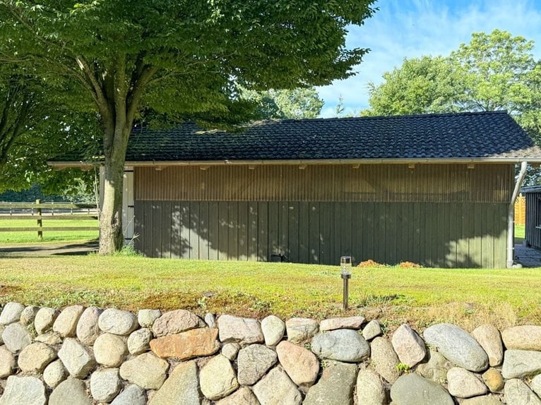 Paradies für Pferdeliebhaber: Reetdachanwesen auf ca. 3,38 ha großen Grundstück mit Nebengebäuden