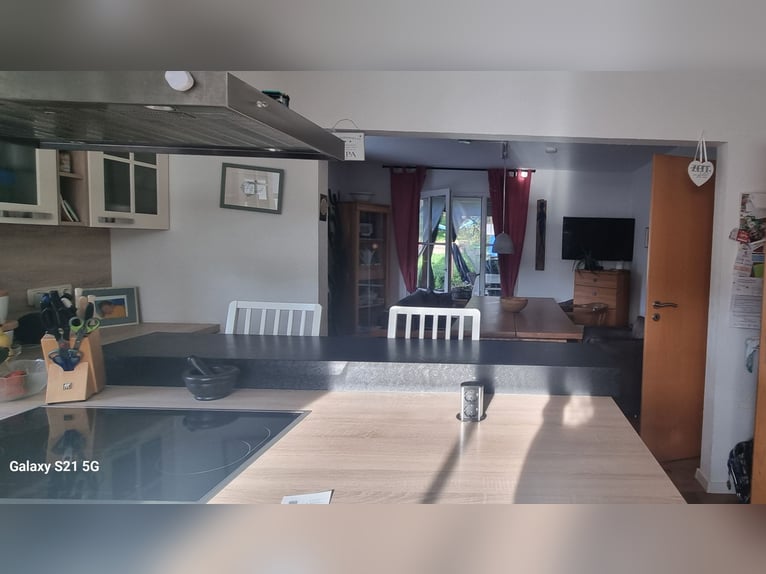 Paradis équestre / Ferme avec 17 400 m²