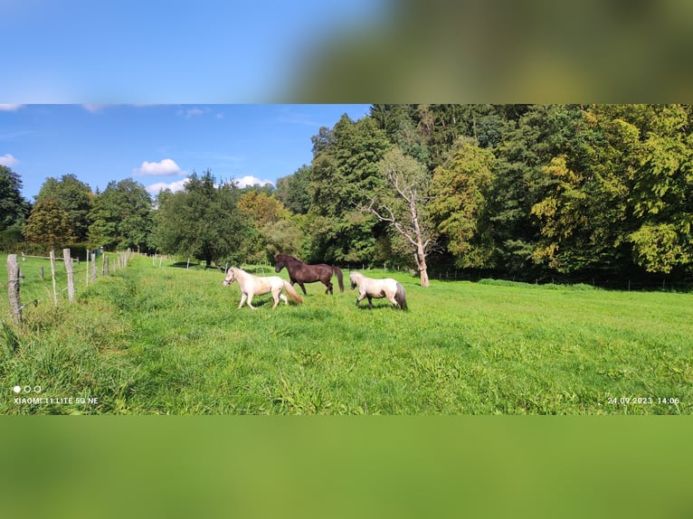 Paradis équestre / Ferme avec 17 400 m²
