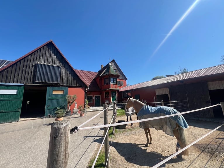 Paradis équestre - Haras romantique avec manège, 6 boxes et maison d'habitation