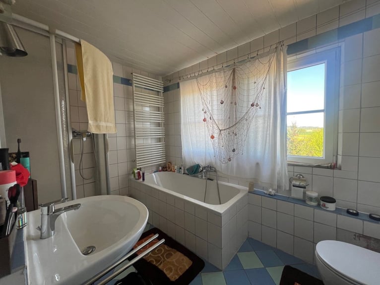 Paradis équestre - Haras romantique avec manège, 6 boxes et maison d'habitation