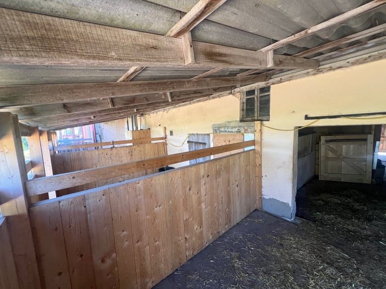 Paradis équestre - Haras romantique avec manège, 6 boxes et maison d'habitation