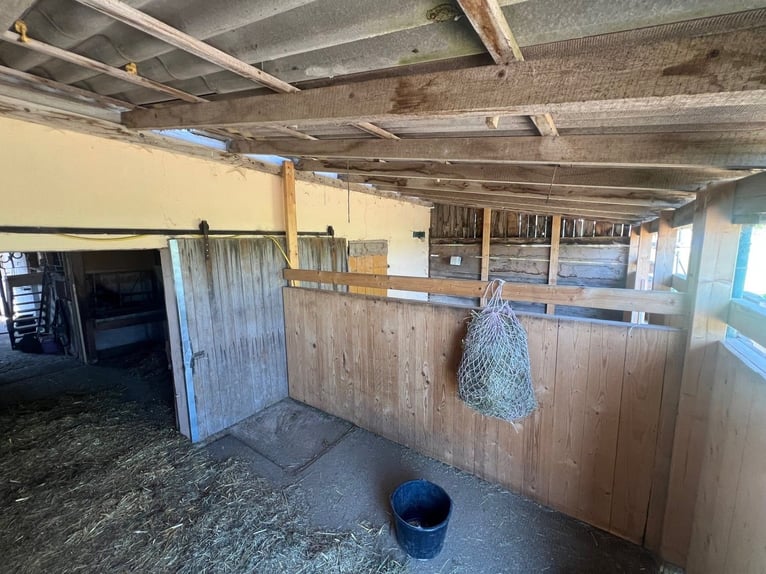 Paradis équestre - Haras romantique avec manège, 6 boxes et maison d'habitation