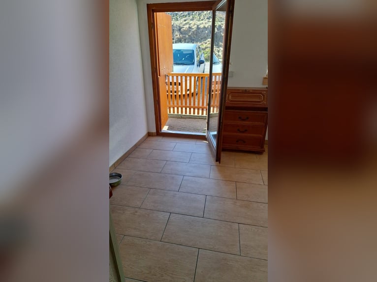 Petite ferme équestre à vendre près du lac de Constance.