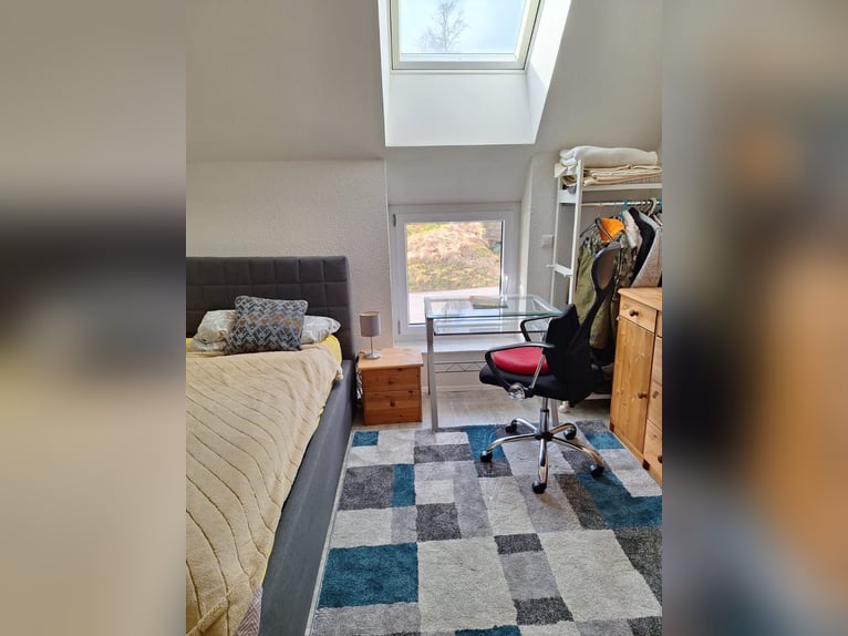 Petite ferme équestre à vendre près du lac de Constance.