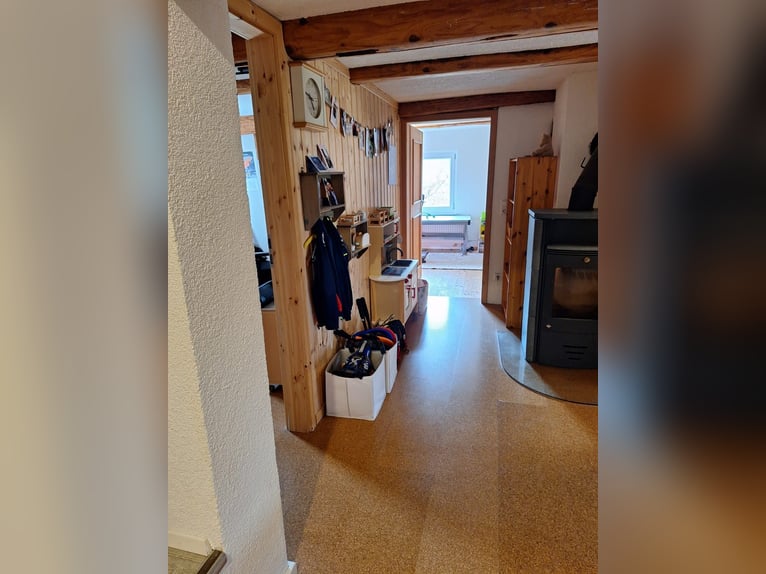 Petite ferme équestre à vendre près du lac de Constance.