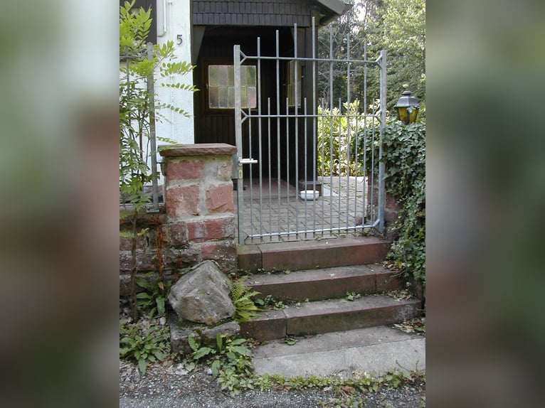 Petite perle dans l'Odenwald (maison avec boxes et manège)