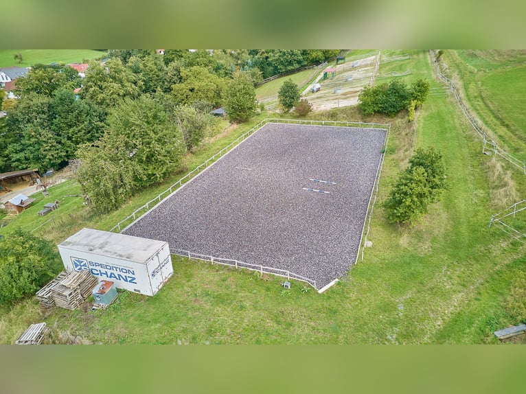 Pferdeimmobilie in Hessen – charmantes Fachwerkensemble mit Reithalle in Groß-Bieberau!