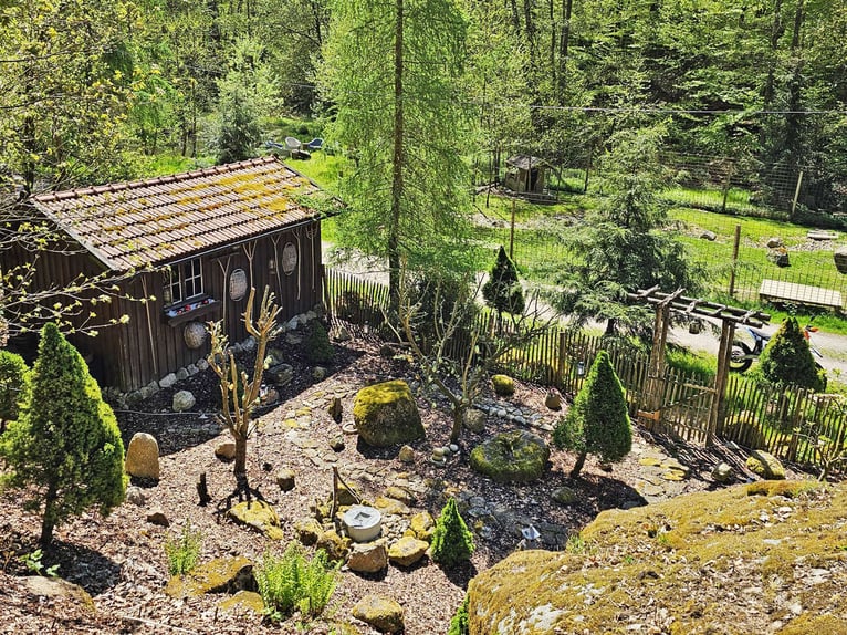 Privates Anwesen, ruhig im Grünen in Alleinlage gelegen, ideal für Pferde- und Naturfreunde