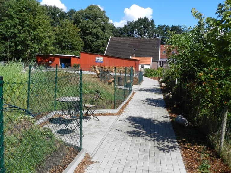 PROJET GREEN CARE - PRÉSENCE DE RÊVE EN EXTÉRIEUR AVEC PLAN DE CONSTRUCTION SPÉCIAL - 376-24