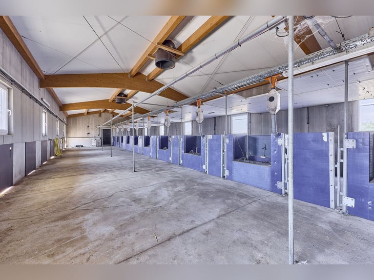 Propriété à Wiesbaden en situation isolée – Exploitation agricole avec une grande maison jumelée !