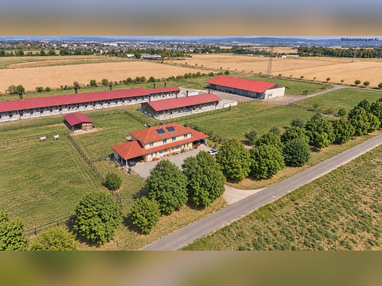 Propriété à Wiesbaden en situation isolée – Exploitation agricole avec une grande maison jumelée !