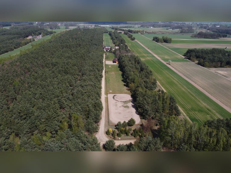 Propriété avec écurie, centre équestre, maison de campagne / Maison de campagne avec écurie
