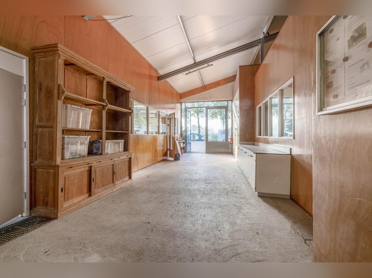 Propriété avec installations équestres professionnelles et options d'habitation spacieuses