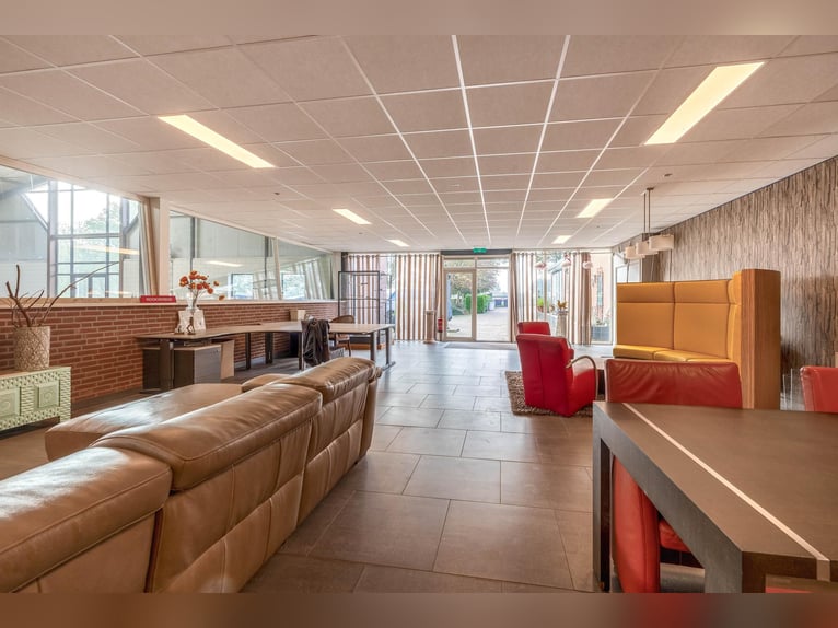 Propriété avec installations équestres professionnelles et options d'habitation spacieuses