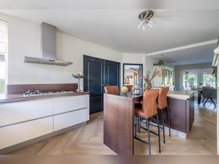 Propriété avec installations équestres professionnelles et options d'habitation spacieuses