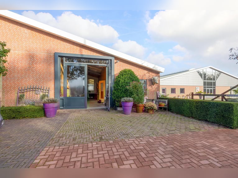 Propriété avec installations équestres professionnelles et options d'habitation spacieuses