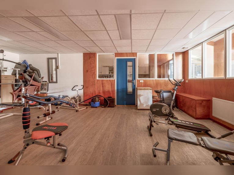 Propriété avec installations équestres professionnelles et options d'habitation spacieuses