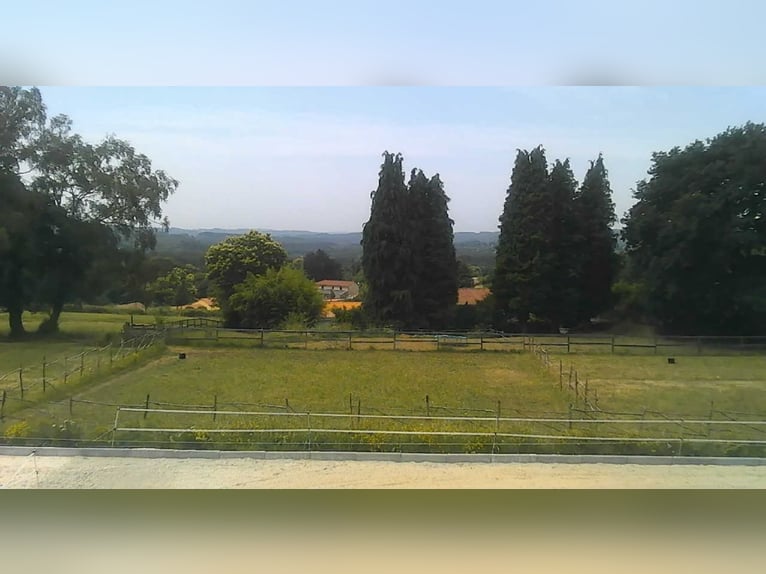 Propriété avec maison et écurie privée