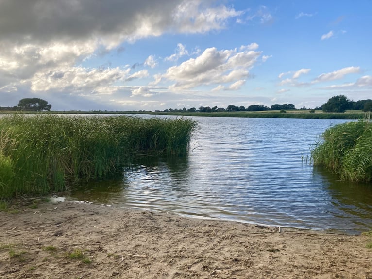 Propriété de rêve avec toit en chaume sur 1,8 hectare près de Sylt