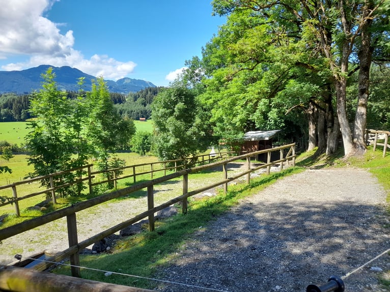 Propriété de rêve pour les amoureux des chevaux dans l'Allgäu, offrant une vue exceptionnelle sur le