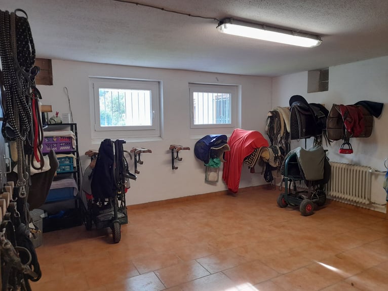 Propriété de rêve pour les amoureux des chevaux dans l'Allgäu, offrant une vue exceptionnelle sur le