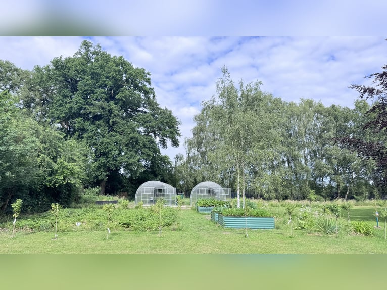Propriété de style landaise près de Balge : villa entièrement rénovée, manège, sur un parc clôturé d