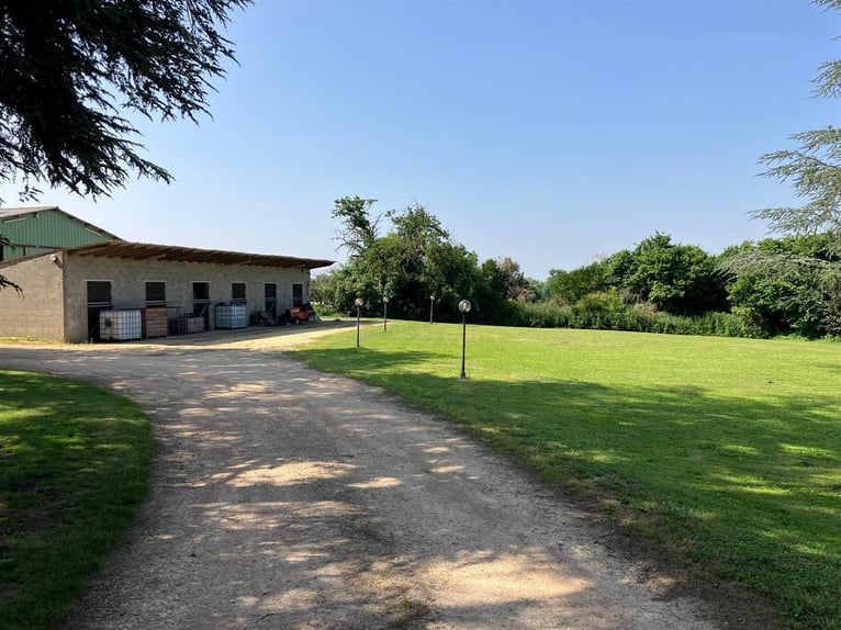 Propriété équestre à fort potentiel