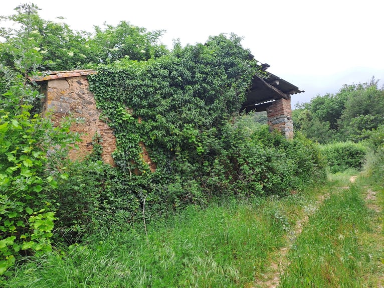 Propriété équestre à Girona-Costa Brava, de multiples possibilités