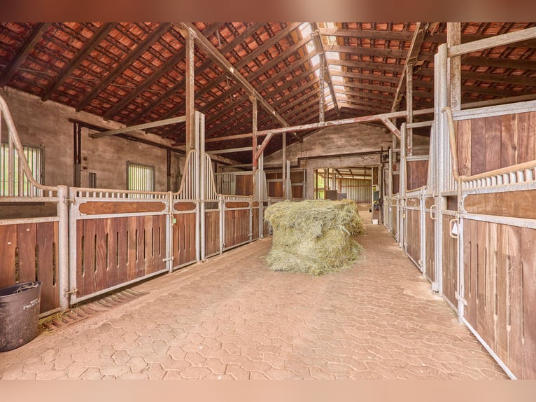 Propriété équestre à vendre dans la Sarre – Haras situé en pleine nature avec un manège moderne !