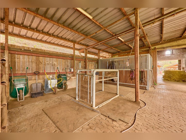 Propriété équestre à vendre dans la Sarre – Haras situé en pleine nature avec un manège moderne !