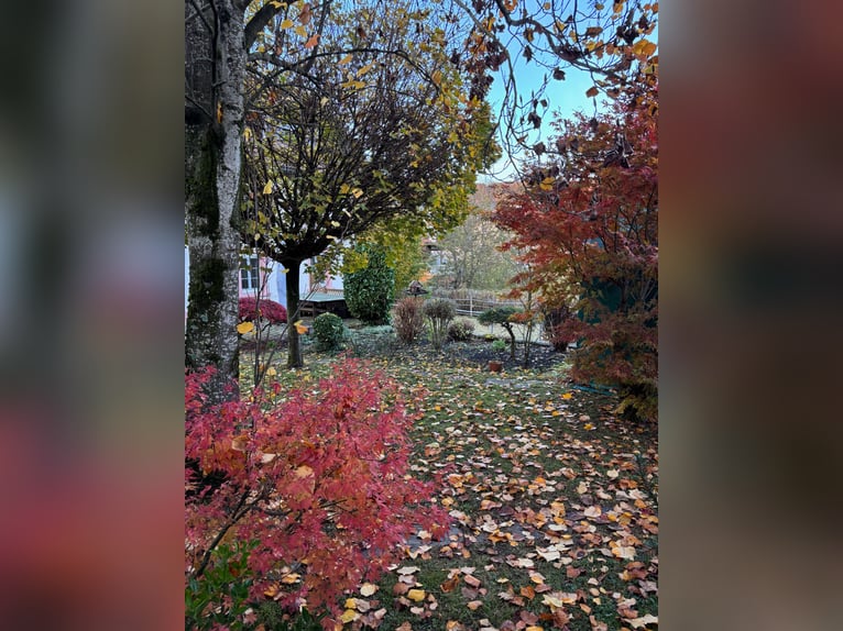 Propriété équestre bien entretenue - 5 000 m², manège en sable et vue sur les Alpes | Proximité de l