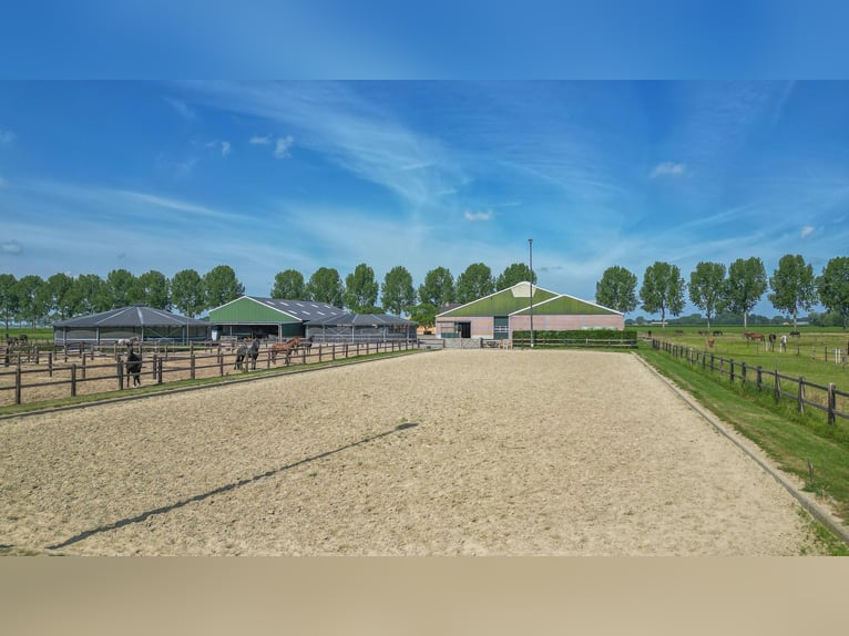 Propriété équestre compacte avec vue imprenable sur la campagne !