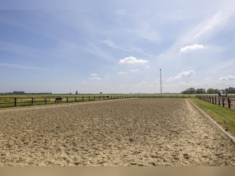 Propriété équestre compacte avec vue imprenable sur la campagne !