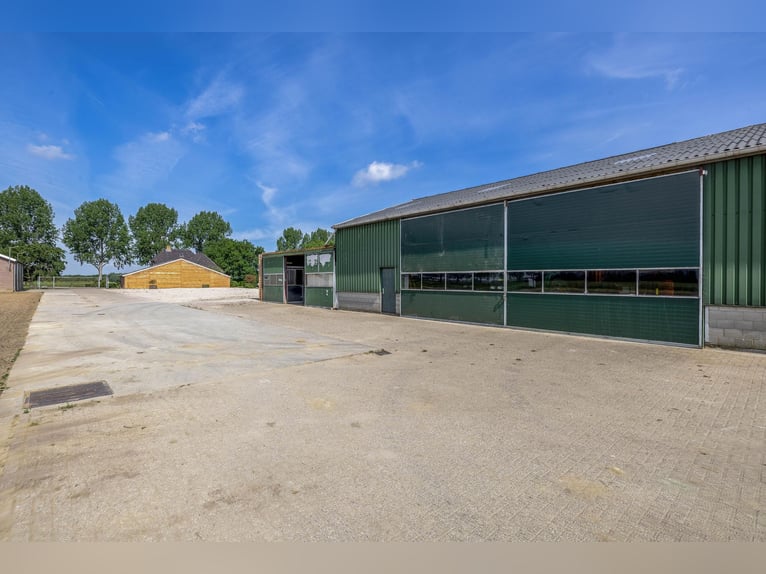 Propriété équestre compacte avec vue imprenable sur la campagne !