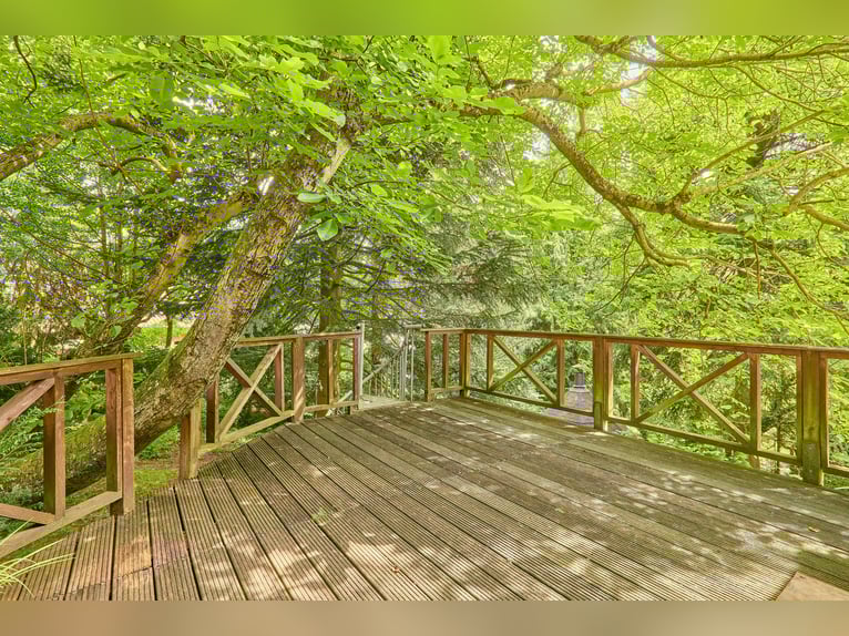 Propriété équestre dans l'Odenwald avec deux maisons d'habitation et espace pour 5 à 10 chevaux !