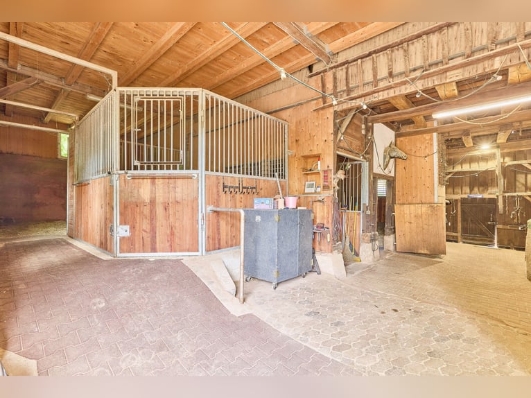 Propriété équestre dans l'Odenwald avec deux maisons d'habitation et espace pour 5 à 10 chevaux !