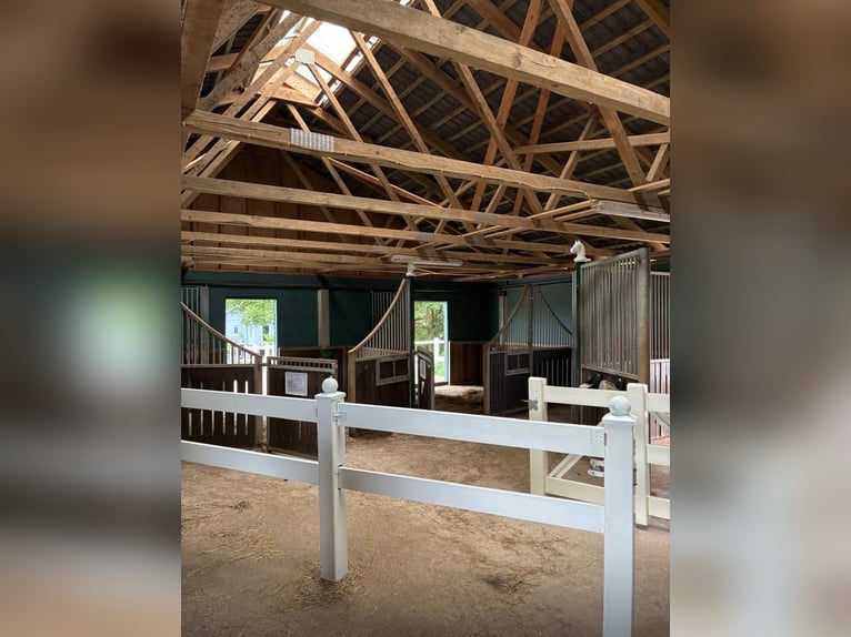 Propriété équestre de rêve avec une maison de 210 m²