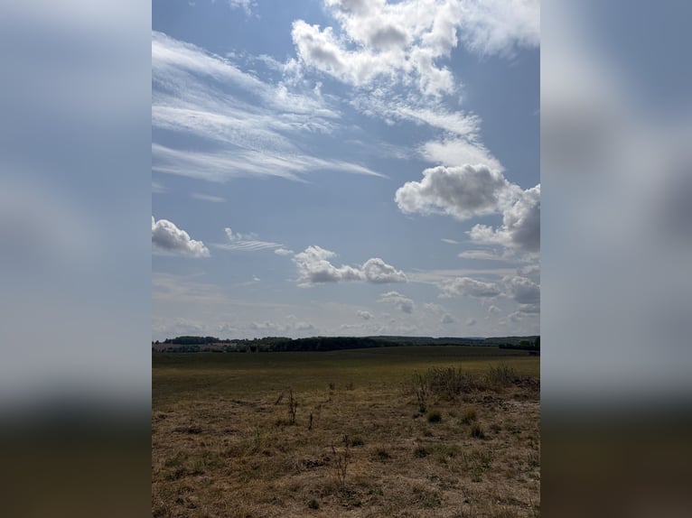 Propriété équestre exceptionnelle d'environ 34 hectares de pâturages arrondis avec vue panoramique d
