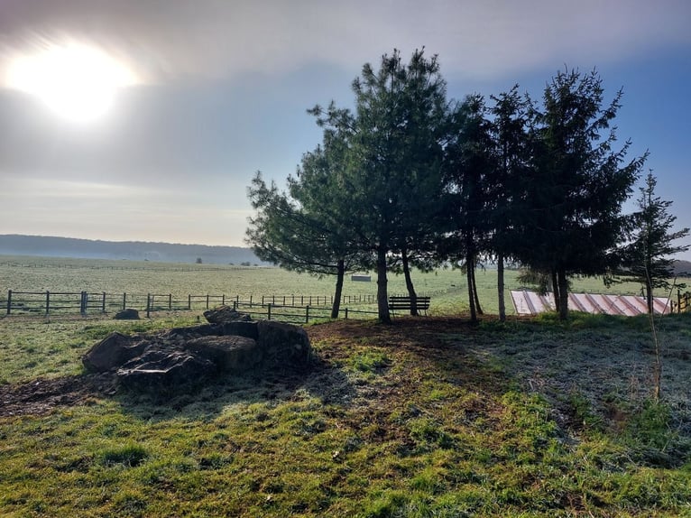 Propriété équestre exceptionnelle d'environ 34 hectares de pâturages arrondis avec vue panoramique d