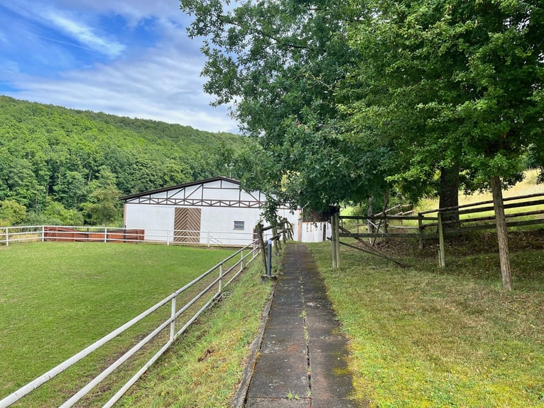 Propriété équestre exceptionnelle en Palatinat – 5,8 hectares, maison, écuries, manège, carrière, pa