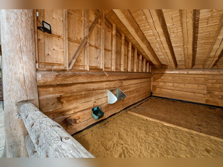 Propriété équestre exclusive au cœur de la nature des Eifel